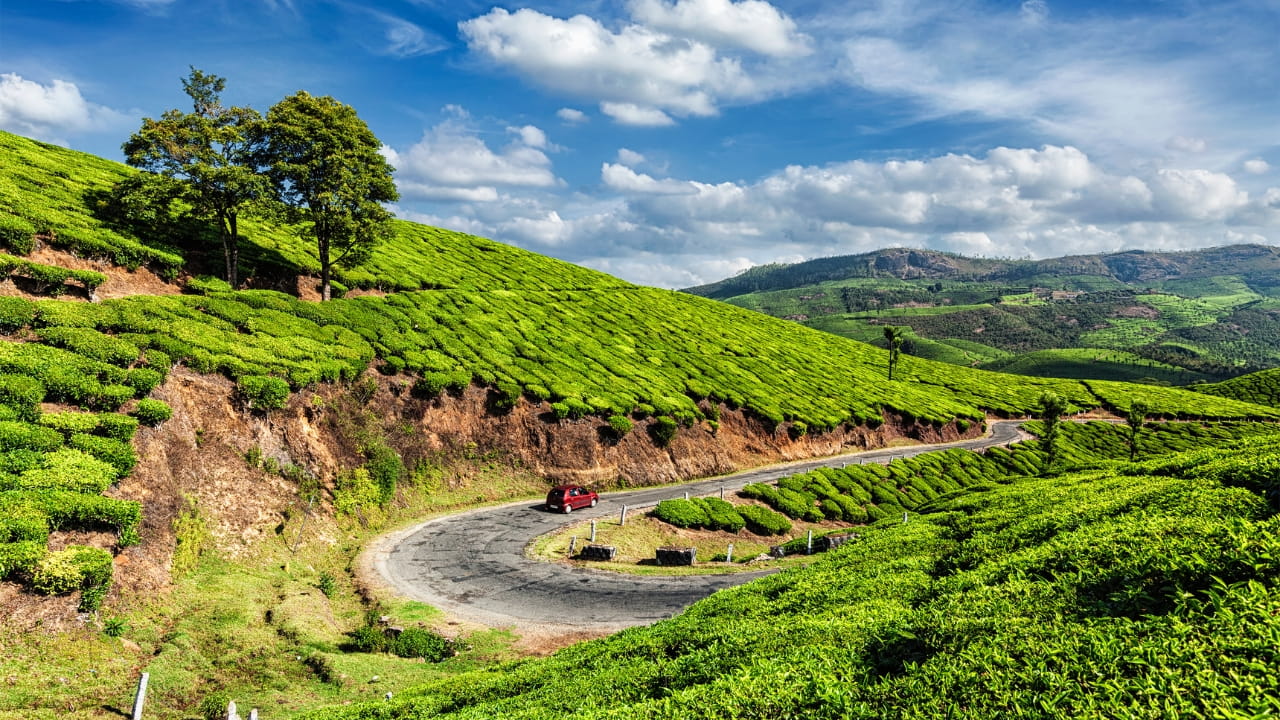 5 Day Kerala Tour Munnar Thekkady Alleppey